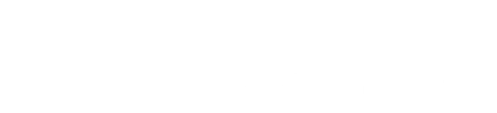 STAR SPEED